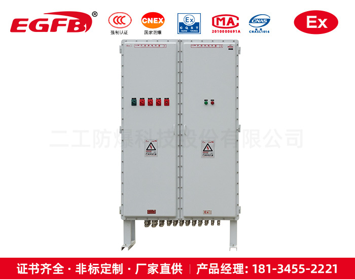 二工防爆大遠程配電控制柜